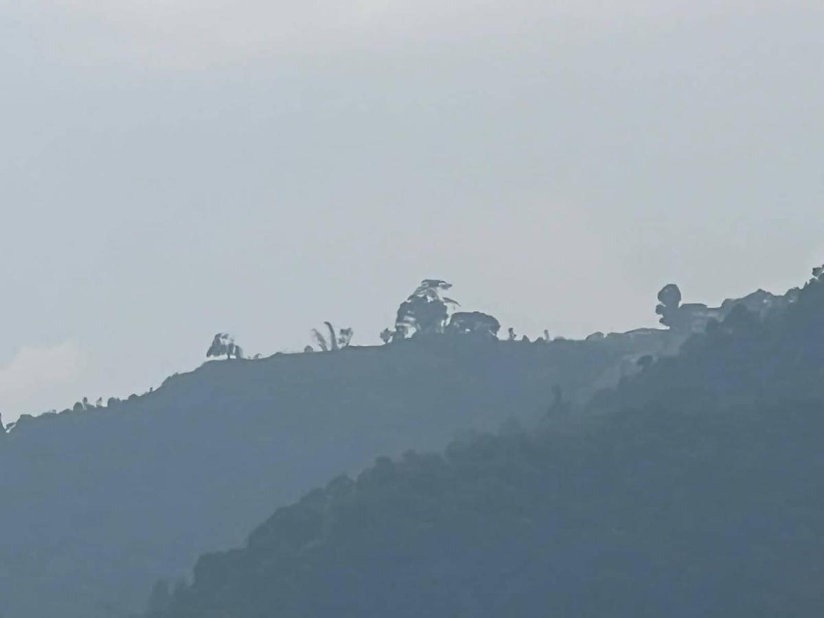 Beli Guest House Pokhara Eksteriør bilde